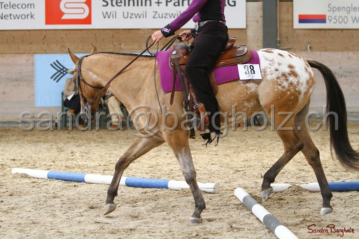 26-ApHC GT_006.jpg